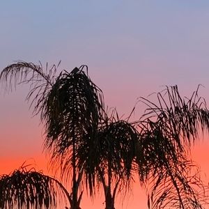 Meet your Posher, Eli